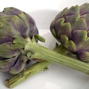 Artichokes Globe