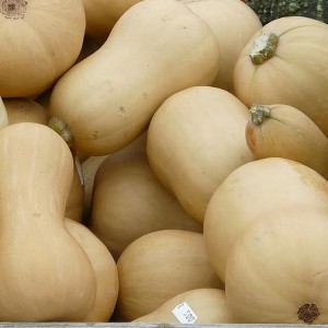Squash Butternut (100g)