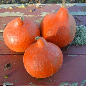 Squash Red Kuri (100g)