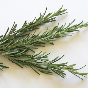 Rosemary