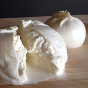 Burrata