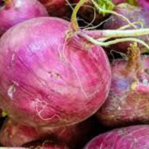 Turnips Purple (100g)