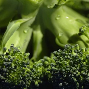Broccoli Tenderstem 250g