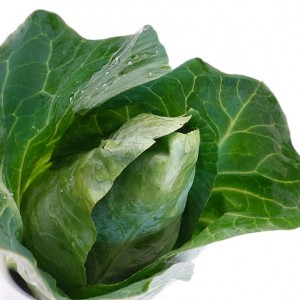 Cabbage Pointed Sweetheart