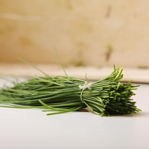 Chives