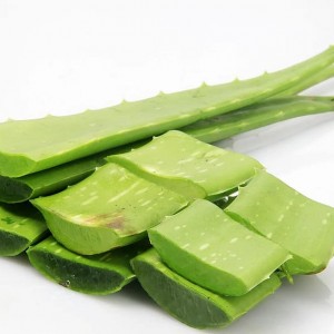 Aloe Vera Leaf (100g)