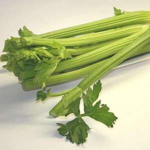 Celery Sleeved