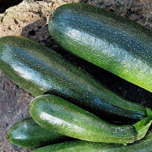 Courgette (100g)