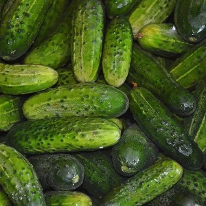 Cucumber Mini Ridged (100g)