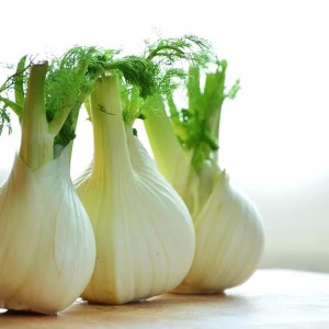 Fennel (100g)