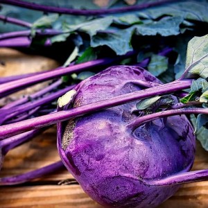 Kohlrabi Purple