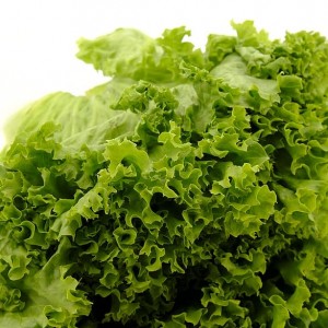 Lettuce Batavia Green