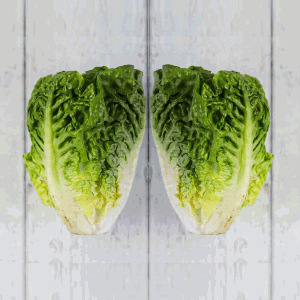 Lettuce Little Gem Twin Pack