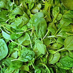 Baby Spinach Punnets 100g