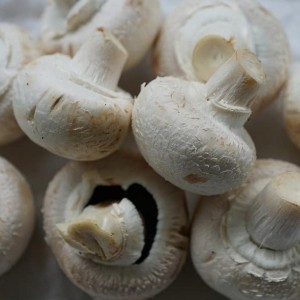 Mushrooms White (100g)