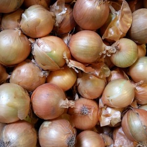 Onions Brown (100g)