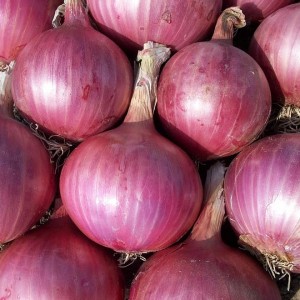 Onions Red (100g)