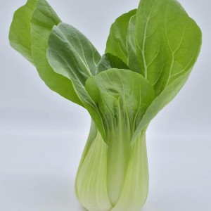Pak-Choi