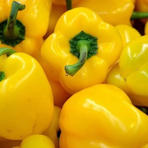 Pepper Yellow (100g)