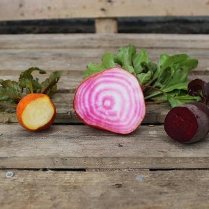 Beetroot Loose (100g)