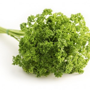 Curly Parsley