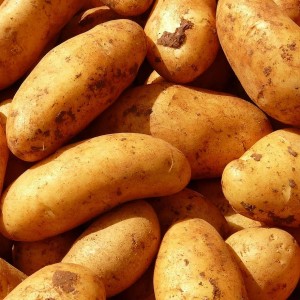 Potatoes Lady Balfour (100g)