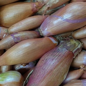 Shallots (100g)