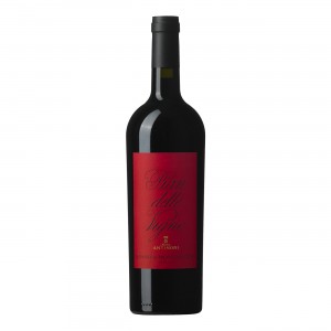 Pian delle Vigne DOC Rosso di Montalcino