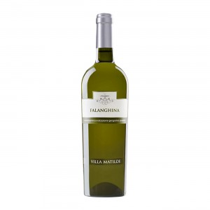Falanghina Rocca Leoni