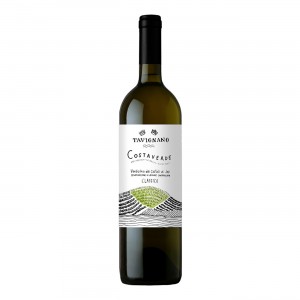 Verdicchio Dei Castelli Di Jesi DOC Classico Superiore Costa Verde