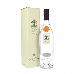 Grappa di Ribolla Gravner