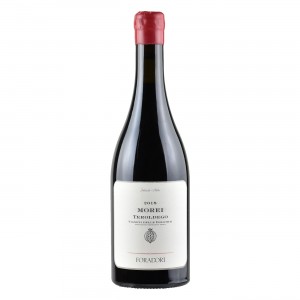 Morei Teroldego – Amphora