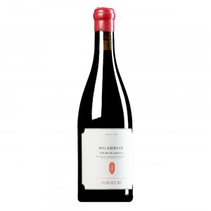 Sgarzon Teroldego – Amphora